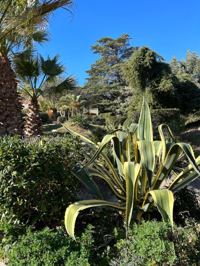 Appartement Vue Mer Domaine Arbore Saint-Raphaël Exteriör bild