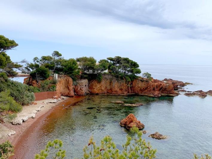 Appartement Vue Mer Domaine Arbore Saint-Raphaël Exteriör bild